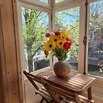 招待所 阿姆斯特丹住宿加早餐旅馆 阿姆斯特丹