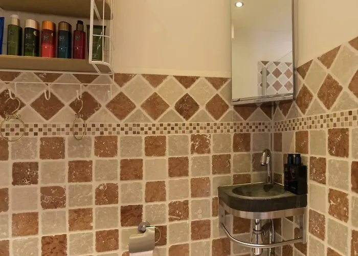 阿姆斯特丹住宿加早餐旅馆 3* 阿姆斯特丹